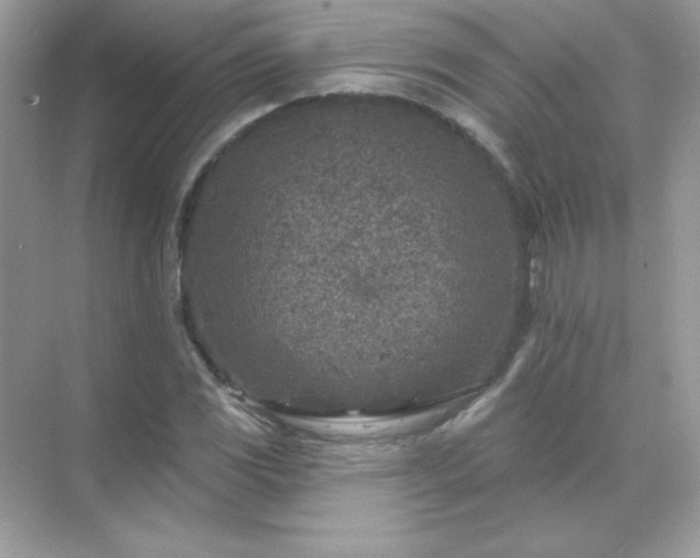 X0000071801117200607072044