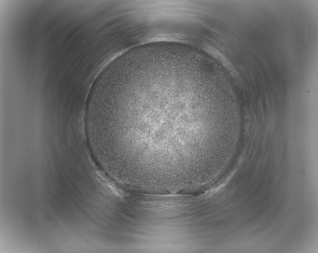 X0000071801121200607072044