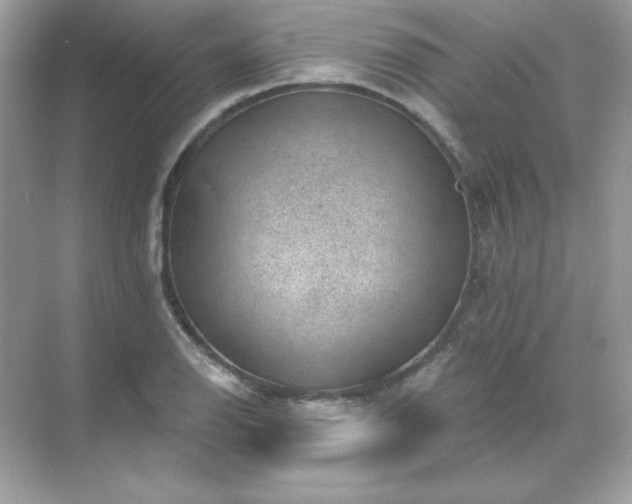 X0000071801126200607072044