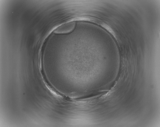 X0000071801127200607072045