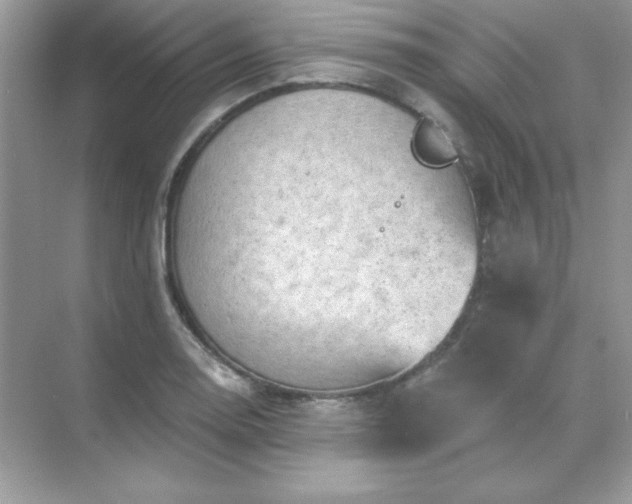 X0000071801130200607072045