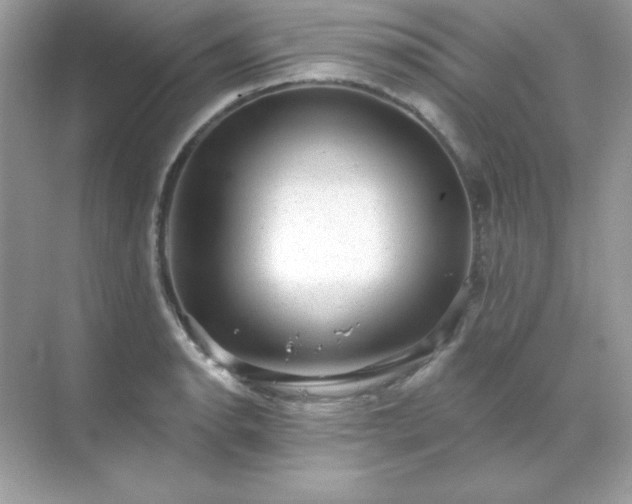 X0000071801134200607072045