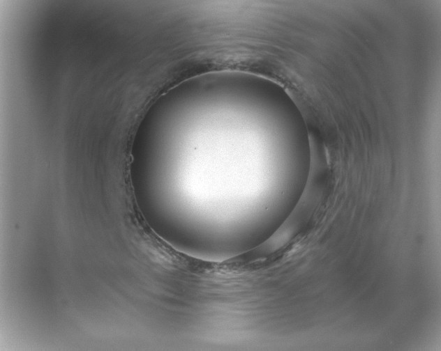 X0000071801153200607072044