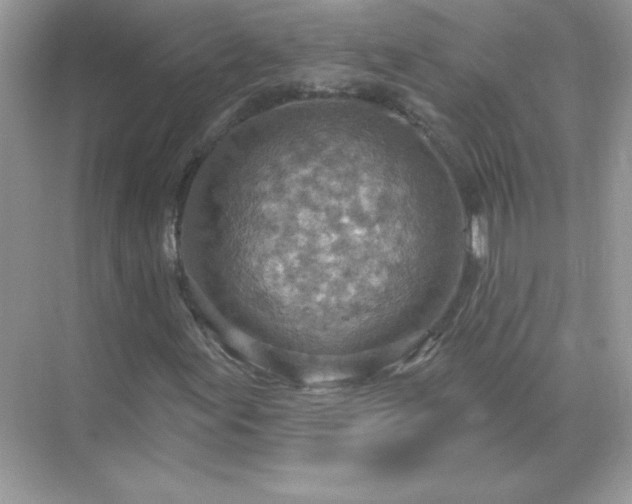 X0000071801155200607072044