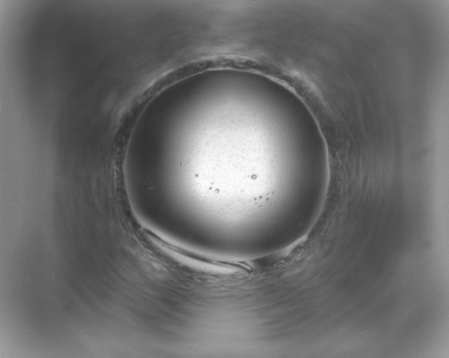 X0000071801159200607072044