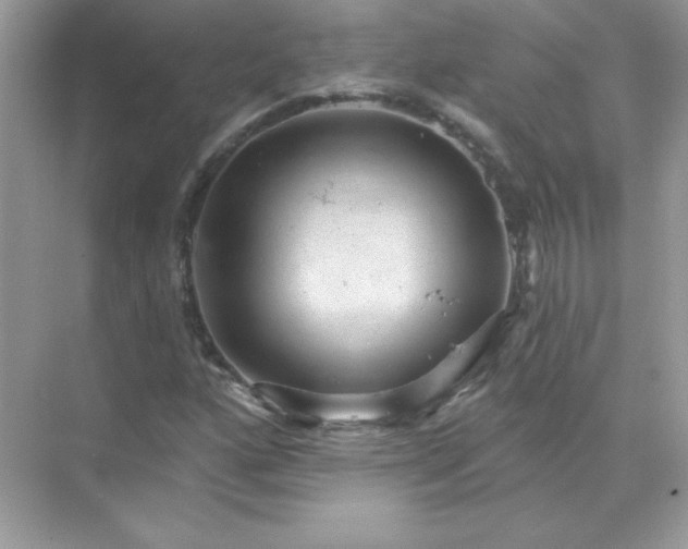 X0000071801160200607072044