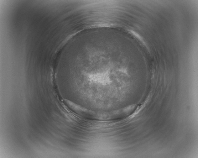 X0000071801161200607072044