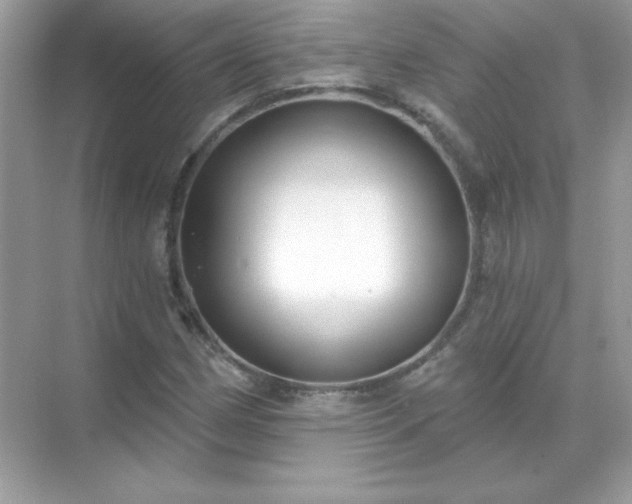 X0000071801162200607072044