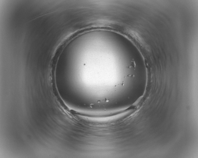 X0000071801164200607072044