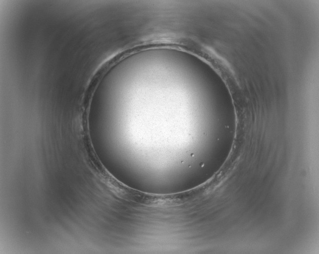 X0000071801166200607072044