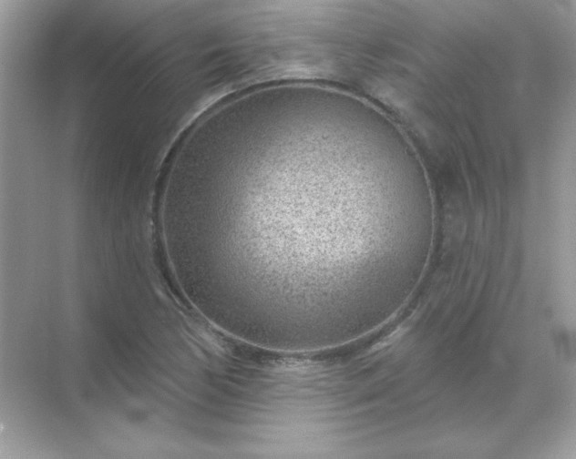 X0000071801170200607072044