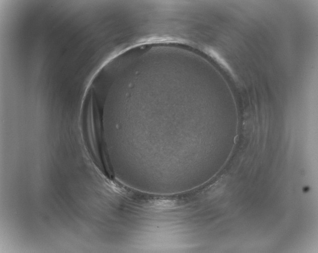 X0000071801173200607072044