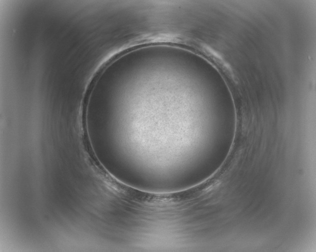 X0000071801174200607072044