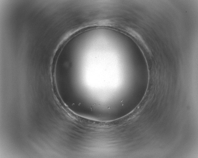 X0000071801176200607072044