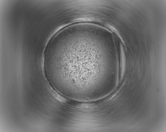 X0000071801179200607072044