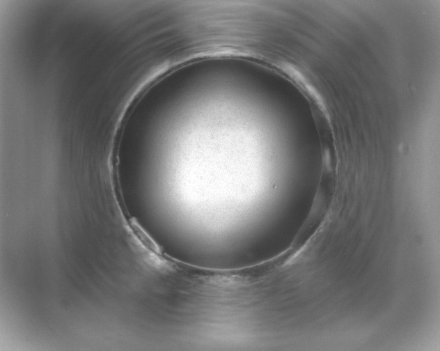 X0000071801189200607072044