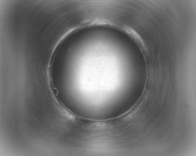 X0000071801190200607072044