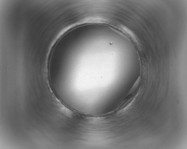 X0000071801192200607072043