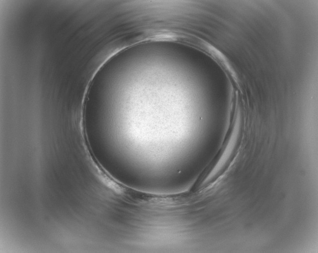 X0000071801194200607072043