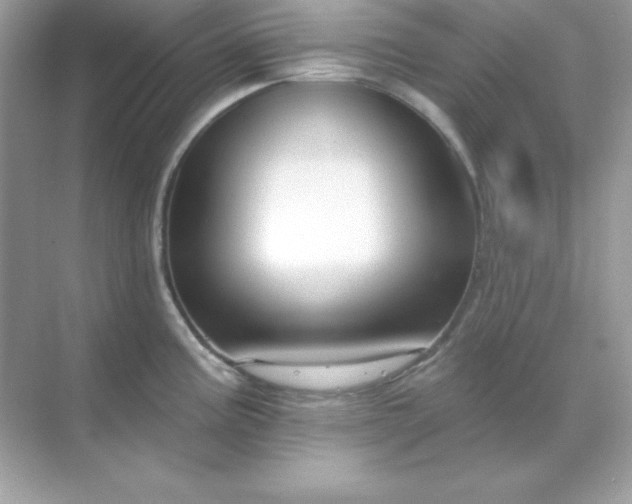 X0000071801195200607072043