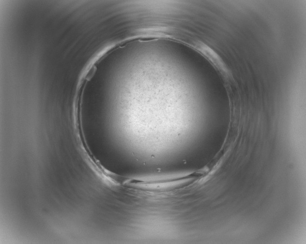 X0000071801196200607072043