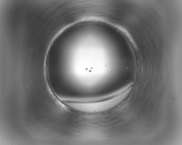 X0000071801199200607072043