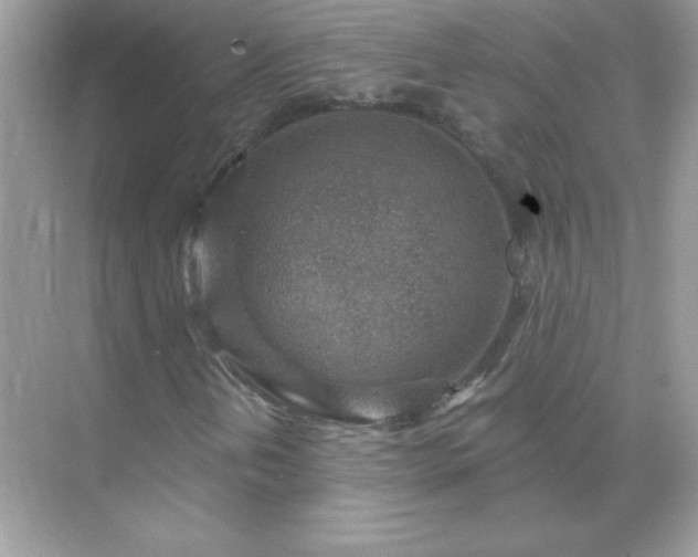 X0000071801202200607072043