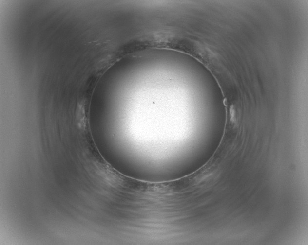 X0000071801203200607072043