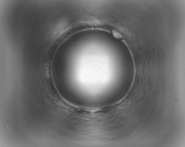 X0000071801205200607072043