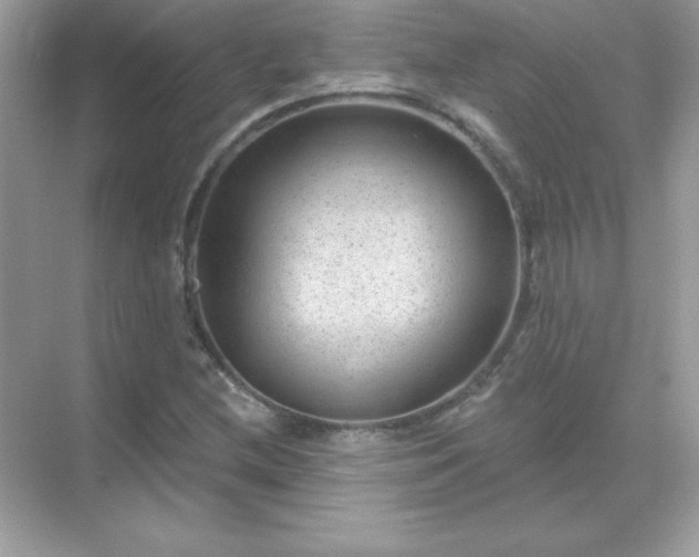 X0000071801212200607072043