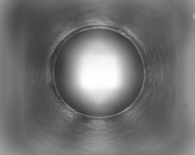 X0000071801215200607072043