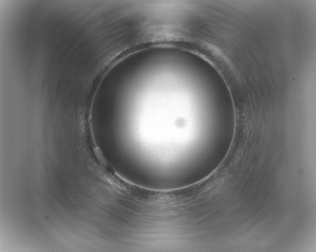 X0000071801217200607072043