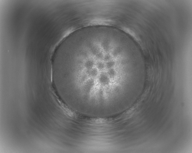 X0000071801219200607072043