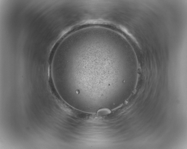 X0000071801221200607072043