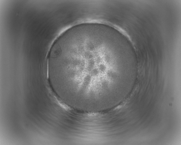 X0000071801223200607072043