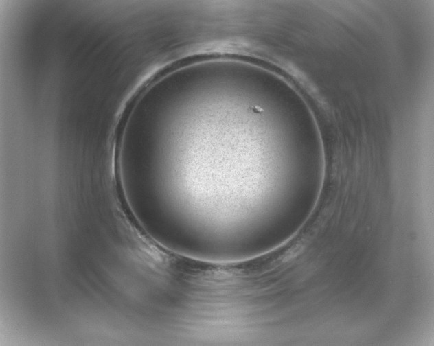 X0000071801224200607072043