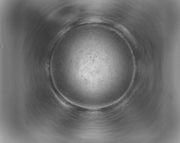 X0000071801225200607072043