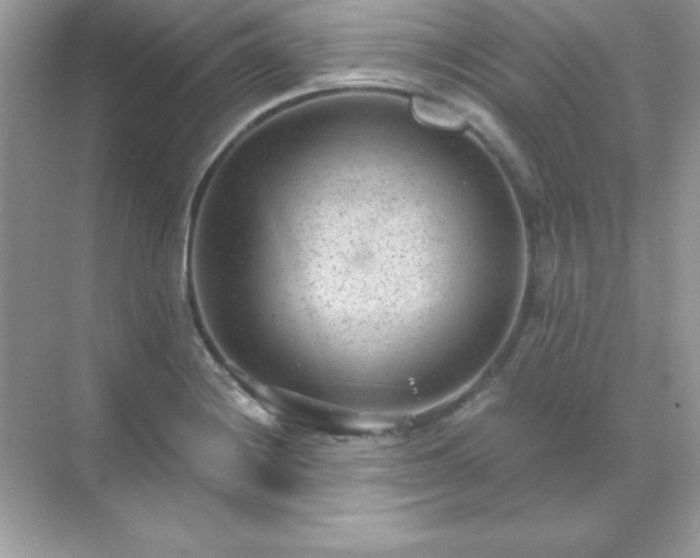 X0000071801228200607072043