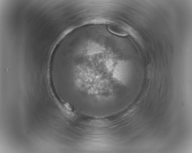 X0000071801229200607072043