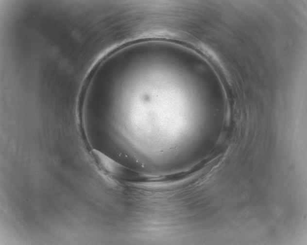 X0000071801230200607072043