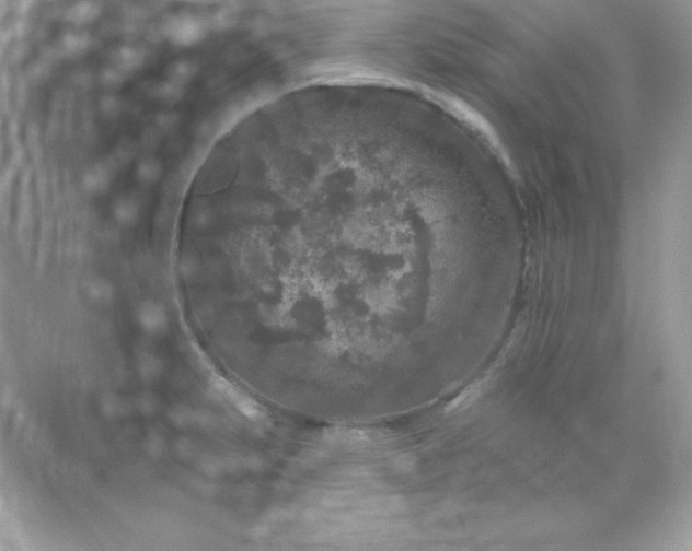 X0000071801231200607072043