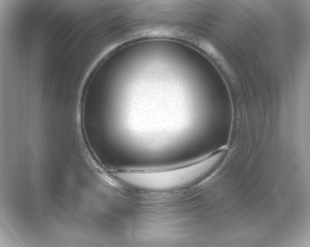 X0000071801232200607072043