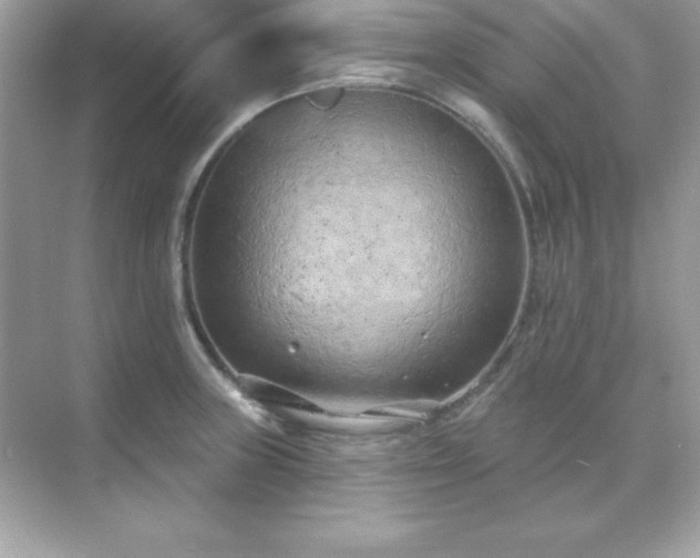 X0000071801235200607072043