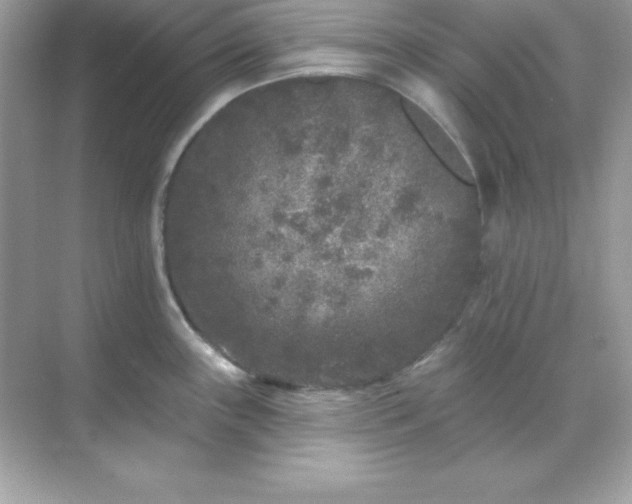 X0000071801243200607072043