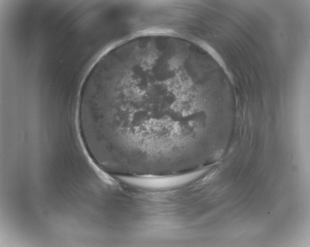 X0000071801245200607072043