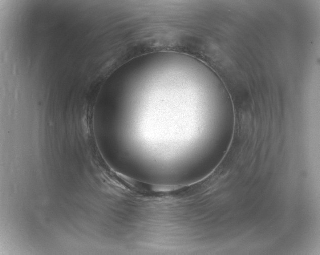 X0000071801250200607072043