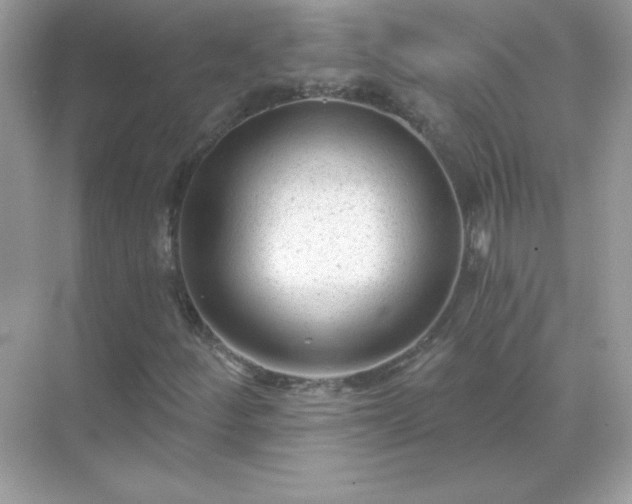 X0000071801252200607072042