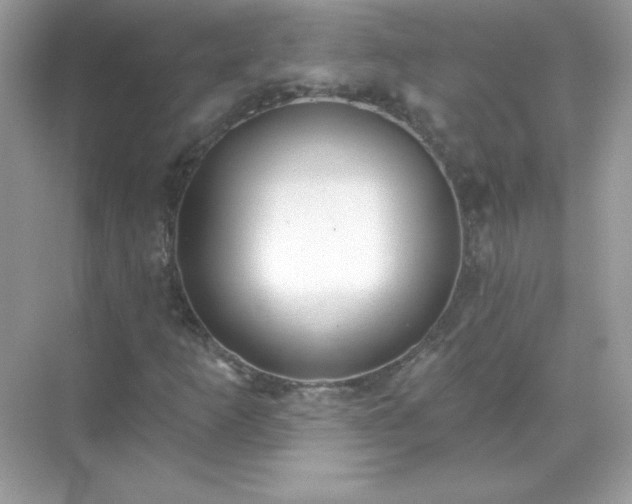 X0000071801253200607072042