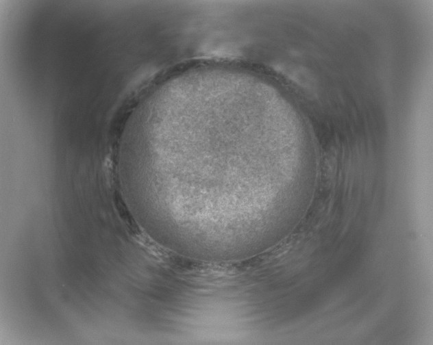 X0000071801254200607072042