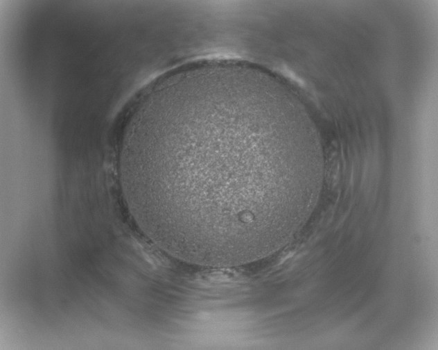 X0000071801255200607072042